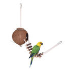 Coconut Hut With Ladder, Bird Hides Coconut Nest, Bird Hideaway Toys For Small