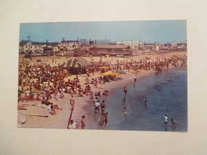 Norfolk Virginia Postcard Ocean View Amusement Park VA - Picture 1 of 2
