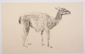 Bernd Hennig: Lthografie-handsigniert-monochrom - Bild 1 von 8