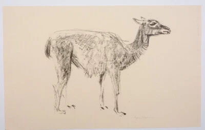 Bernd Hennig: Lthografie-handsigniert-monochrom - Bild 1 von 4