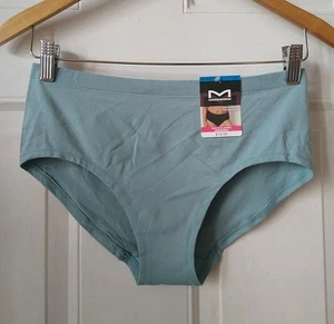 MAIDENFORM WOMEN'S SOFT STRETCH SEAMLESS HIPSTER PANTY, SIZE XL/8 - Picture 1 of 2