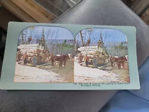 STEREO VIEW GROSSE LADUNG LOGS KESSEL RIVER MINNESOTA PINERIES # 256 - Bild 1 von 2