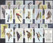 SWEETULE-FULL SET- BIRDS & THEIR EGGS 1954 (JUNIOR SERVICE 25 CARDS)