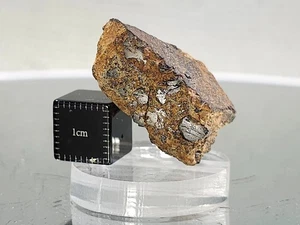 NWA 14429, Diogenit, 8,54g, HED Meteorit poliertes Gesicht, große OVP Kristalle - Bild 1 von 10