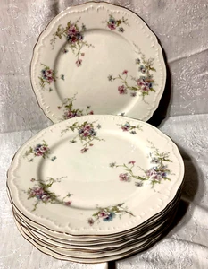 8 VINTAGE THEODORE HAVILAND NEW YORK ANNETTE FLORAL 10 3/8" DINNER PLATES - Picture 1 of 8