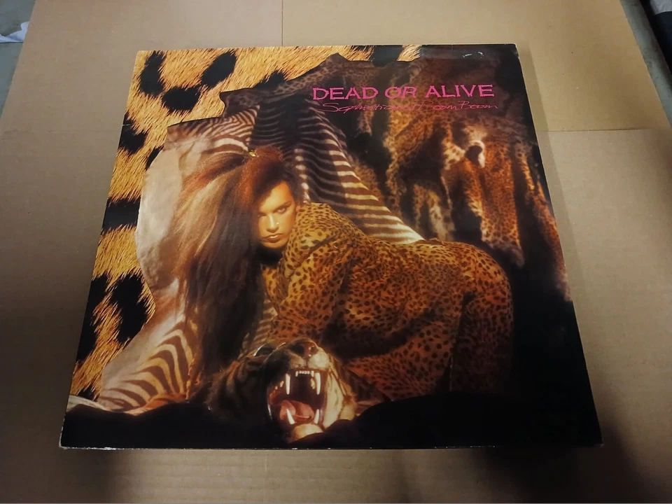DEAD OR ALIVE SOPHISTICATED BOOM BOOM VINYL LP PLAY TESTED - Image 1 of 1