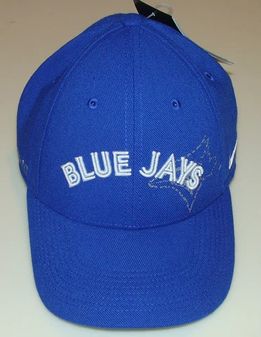 Toronto Blue Jays Cap Hat MLB Dri Fit Flex Wordmark Logo Baseball One Size Cover