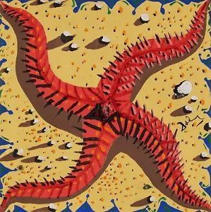 SALVADOR DALI Poster or Canvas Print "L'Étoile De Mer" - Picture 1 of 1