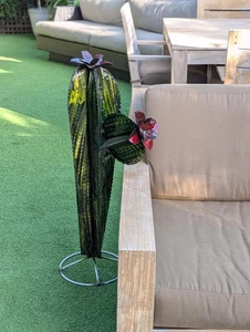 Decoración de jardín de cactus | Decoraciones de cactus para tu patio u hogar - Imagen 1 de 8