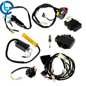 Conjunto de arnés de cableado interruptor bobina de encendido CDI para Honda Sportrax TRX400EX 1999-04 - Imagen 1 de 24