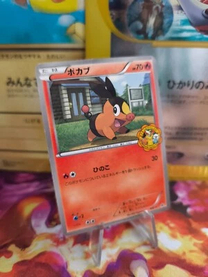 Pokemon Karte Card Floink Tepig Bw Promo Pokemon Center Rare japanese Good - Bild 1 von 4