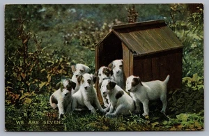 We are Seven Cute Adorable Terrier Puppies Dogs Tuck Postcard M10 - Picture 1 of 3