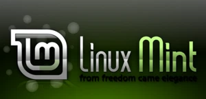 Dell Latitude 7490 Laptop Linux Mint Cinnamon 32GB RAM 2TB SSD + 5 YEAR WARRANTY - Afbeelding 1 van 8
