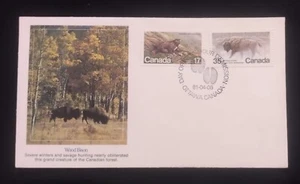 C) 1981. CANADA. FDC. WOODEN BISON DOUBLE STAMPS. XF - Picture 1 of 1