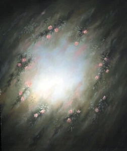 10*20 Ft Muslin 100% Airbrush Painted Photo Backdrop Background 45-518 - Picture 1 of 1