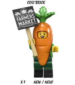 Lego 71037 Minifiguren Serie 24 - Karotte Maskottchen - Nr. 4 - New Neu - Bild 1 von 1
