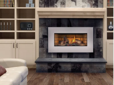 CLOSEOUT - Napoleon Roxbury Millivolt Ign. Chimenea ventilación directa NG, GI3600-4NSB Foto 1 de 4