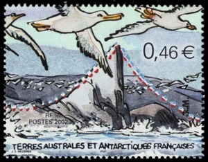 FRANZÖSISCHE ANTARKTIS 312a - Tierolympiade "Albatrosmarathon" (pb90507) - Bild 1 von 1