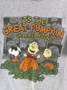 Vintage Peanuts It’s The Great Pumpkin Charlie Brown T-Shirt Halloween Sz L - Picture 1 of 7