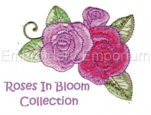 ROSES IN BLOOM COLLECTION - MACHINE EMBROIDERY DESIGNS ON CD OR USB 4X4 5X7 6X10