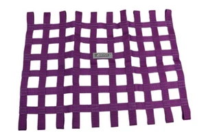 Assault Racing Purple Ribbon Racing Window Net RZR Stock Car IMCA Modified - Picture 1 of 1
