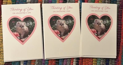 Lote De Colección De 3 Lindas Tarjetas De Felicitación De San Valentín Gato Con Sobres Sin Usar  Foto 1 de 4