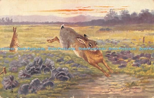 R369326 The Hare Scenting Danger Tuck Oilette Nr 6932 1907 - Bild 1 von 4