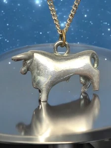 Ciondolo toro uomo vintage tono argento anatomicamente corretto 24” - Foto 1 di 9