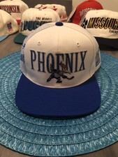 Vintage Sports Specialties IHL Phoenix Roadrunners Snapback