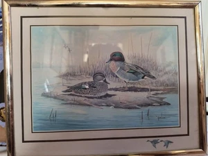 Erwin Rambow Duck Framed Watercolor Art 8x10 Vintage  - Bild 1 von 7