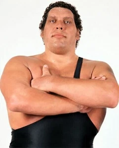 Andre The Giant DVD Set Wrestling - Picture 1 of 1