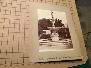 vintage Mounted SCULPTURE Photo: fountain of VENUS of BOLOGNA - VILLA PETRAIA  - Picture 1 of 5