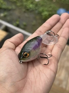Fully Custom Sunfish Whopper Plopper - Picture 1 of 3