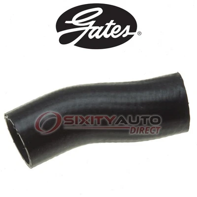 Gates Lower Radiator Coolant Hose for 1952-1953 Mercury Monterey Car 4.2L V8 ue - Image 1 of 4