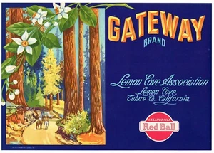 ORIGINAL VINTAGE LEMON CRATE LABEL GATEWAY LEMON COVE TULARE  SEQUOIAS 1930S  - Picture 1 of 1