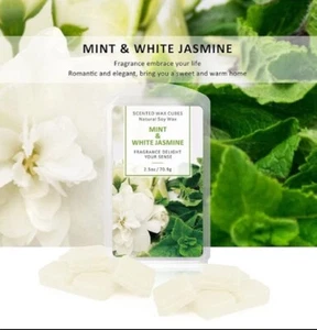 Mint & White Jasmine Scented Wax Melts 2.5oz - 2 Pack - Picture 1 of 1