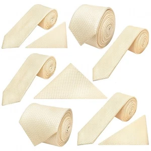 Ivory Textured Men's Wedding Classic Skinny Tie Sets Prom Groom's Formal Single - Picture 1 of 16
