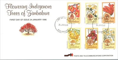 Zimbabwe 1996 Indigenous Trees Bulawayo CDS Sweet Thorn Sausage Tree Luckybean - Image 1 of 2