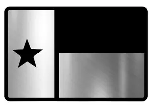 North Carolina State Star Flag Engraved Car Badge Acrylic Emblem BRUSHED SILVER. - Picture 1 of 4