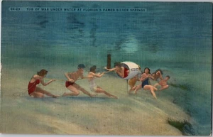 1930s Vintage Postcard Tug of War Under Water Silver Springs Florida - Picture 1 of 2