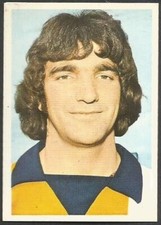 FKS 1974/75 WONDERFUL WORLD OF SOCCER STARS- #176-LUTON TOWN-PETER ANDERSON