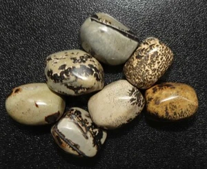 Scenic Jasper - 7 Tumbled Stones rtsjasp2 - Bild 1 von 4