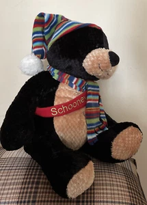 Gund Teddybär Sabre Cellxion Limited Edition Schooney 2005 Ski Snowboard - Bild 1 von 5