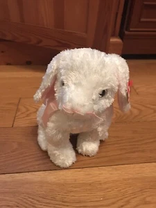 TY Beanie Buddy - Spring With Tag - Picture 1 of 3