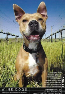 2006 Wine Dogs Fanny Postcard Saintsbury Napa, CA. - Picture 1 of 2