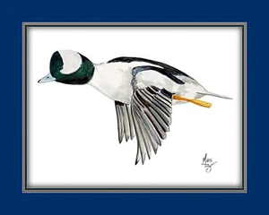 Impresión artística en lienzo de vida silvestre de pato Bufflehead varios colores de estera de borde - Imagen 1 de 14