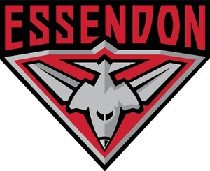 Iron on Transfer - AFL Essendon Bombers - Picture 1 of 8