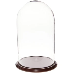 Plymor 11.75" x 20" Glass Display Dome Cloche (Dark Mahogany Veneer Base) - Picture 1 of 1