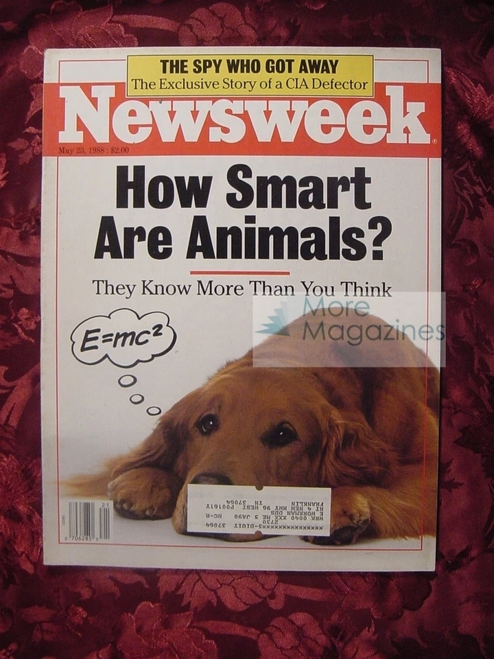 NEWSWEEK May 23 1988 How Smart are Animals? Edward Lee Howard Fathers Rights - Image 1 of 1