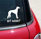 Got Saluki? Salukis Dog Dogs Graphic Decal Sticker Art Car Wall Decor